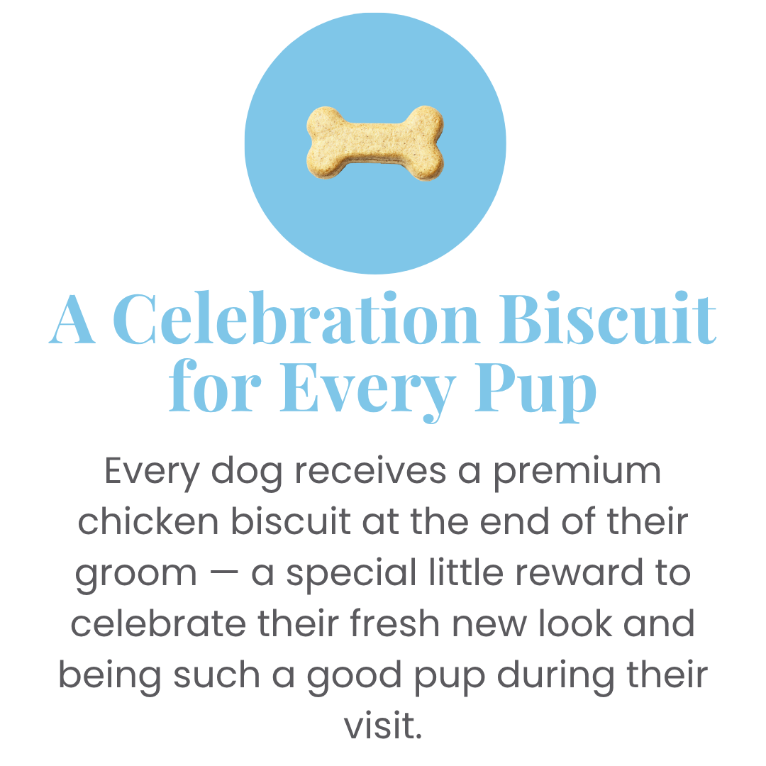 A-Celebration-Biscuit-for-Every-Pup