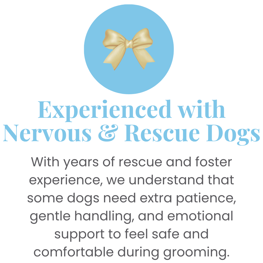 Experienced-with-Nervous-&-Rescue-Dogs