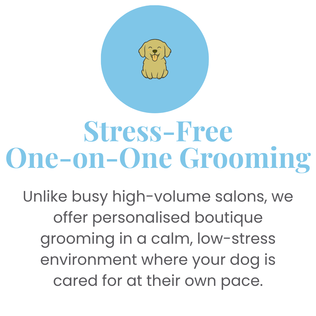 Stress-Free-One-on-One-Environment