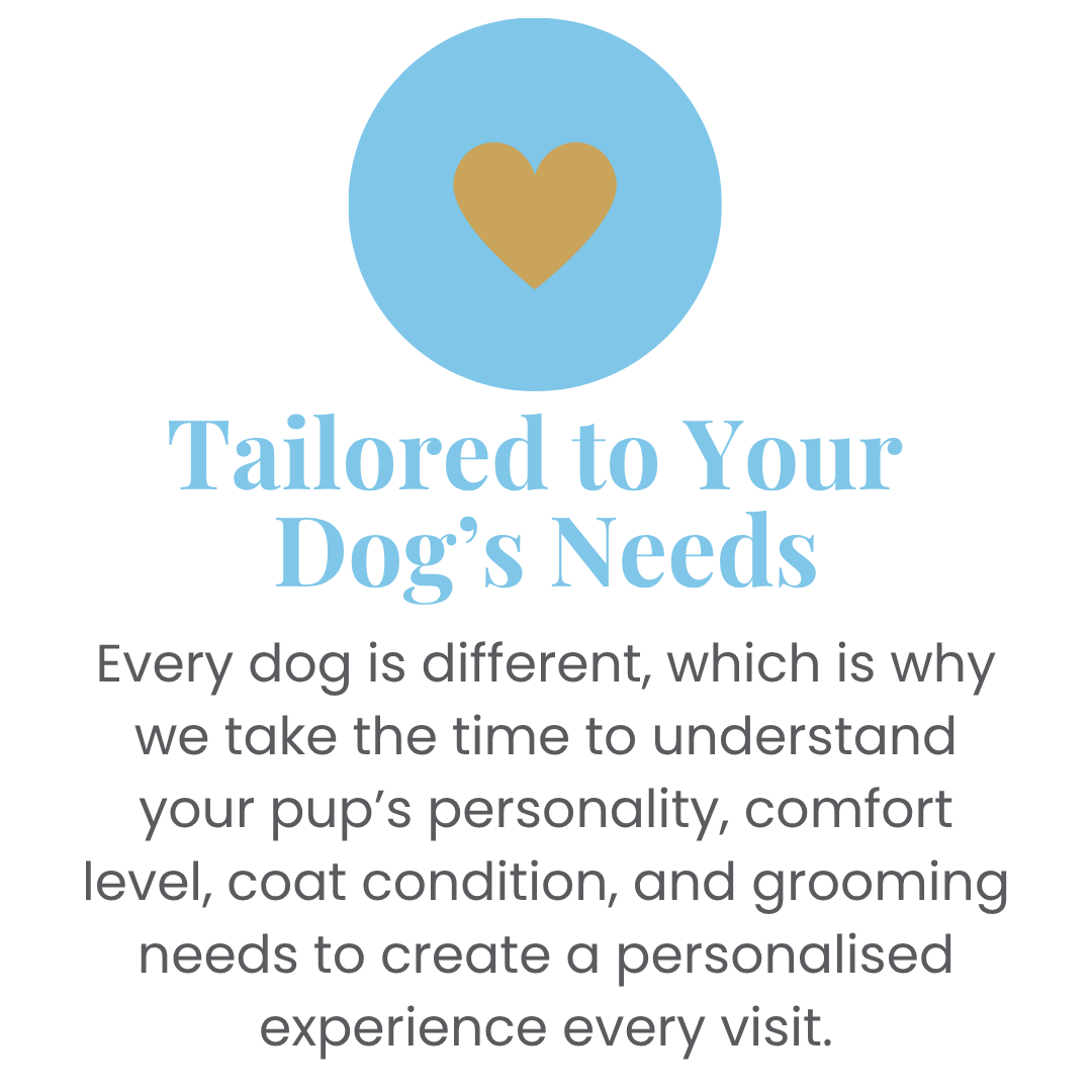 Tailered-to-you-dog's-needs