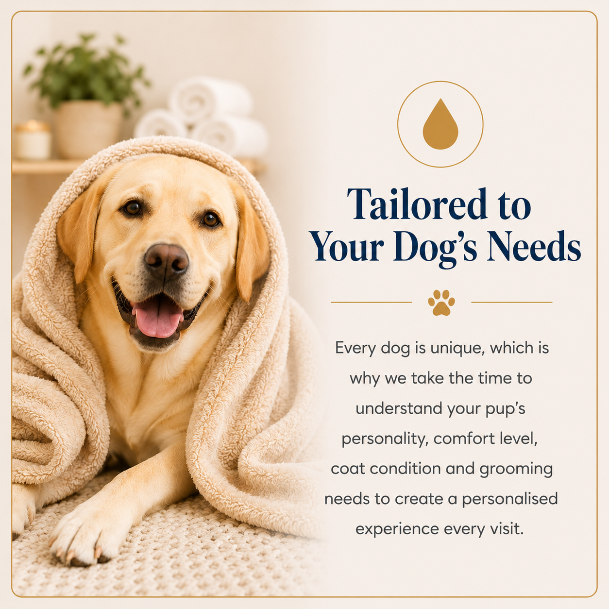 Tailored-To-Your-Dog's-Needs