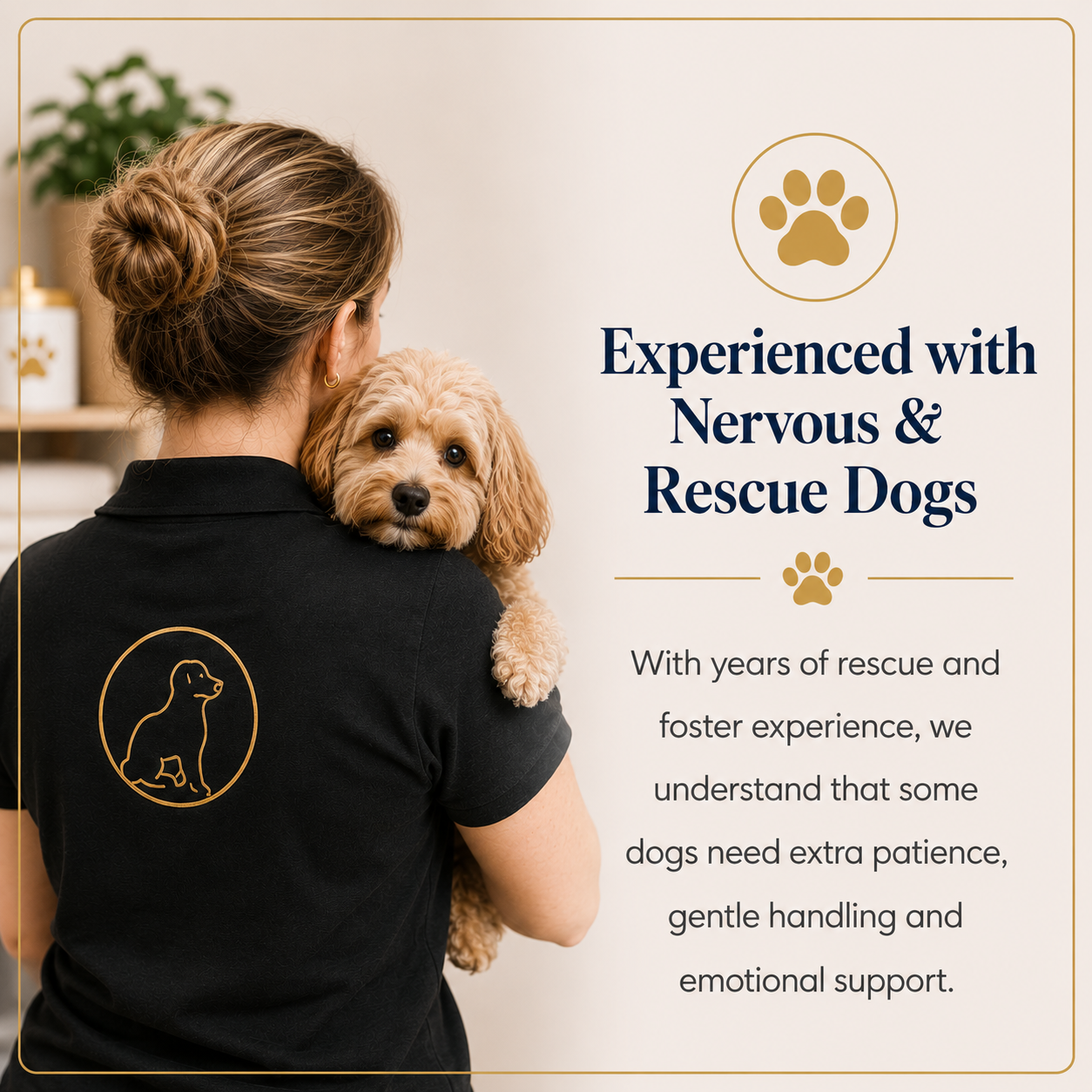 Experienced-with-Nervous-&-Rescue-Dogs