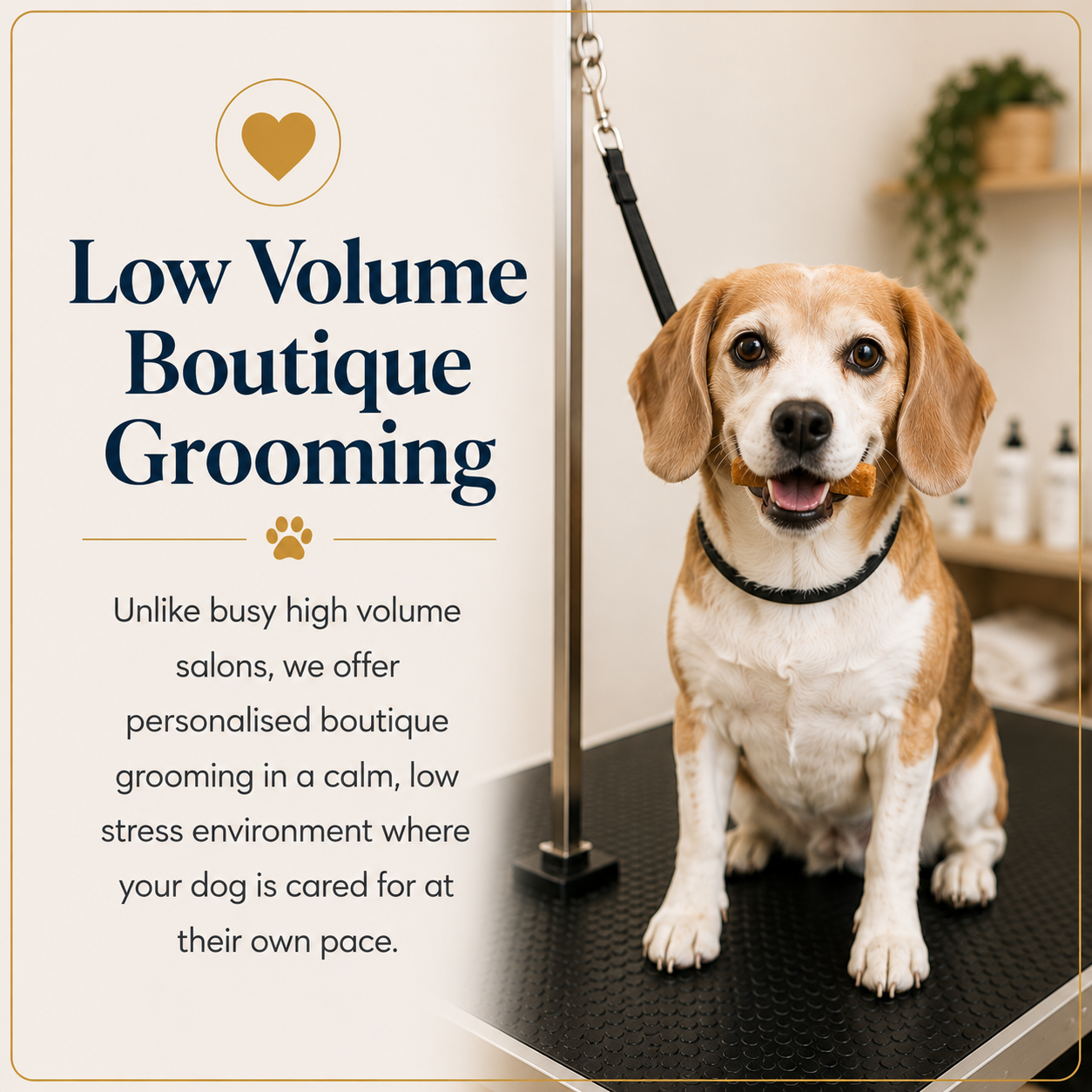 Low-Volume-Boutique-Grooming
