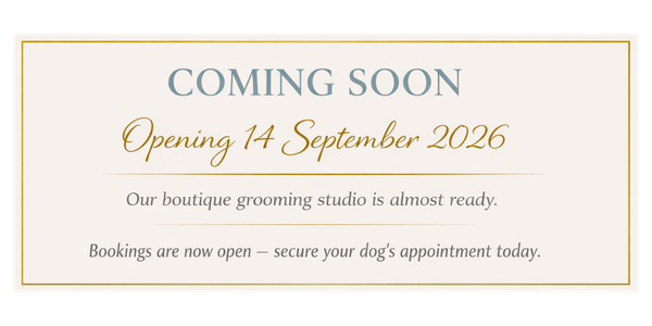 Bubbles-and-Biscuits-Coming-Soon